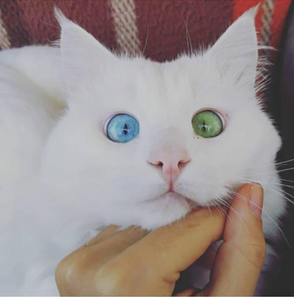 morning picdump 51 pics 1.html - 51 HD Photos | Premium Gallery 2018