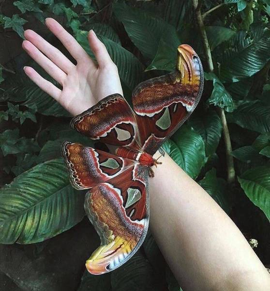 morning picdump 51 pics 1.html - 51 HD Photos | Premium Gallery 2018