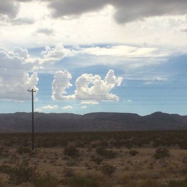 Daily Picdump