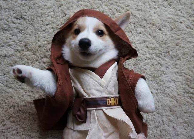 Daily Picdump