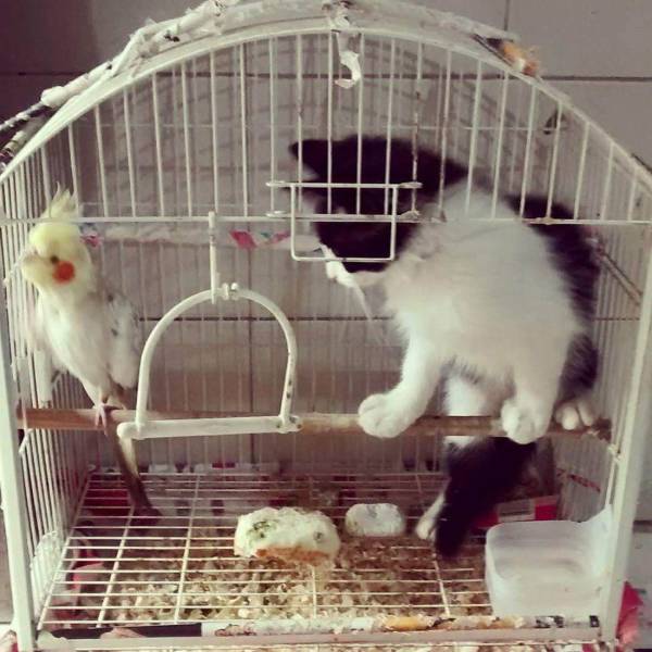 daily picdump 99 pics 31.html - 99 HD Photos | Premium Gallery 2018