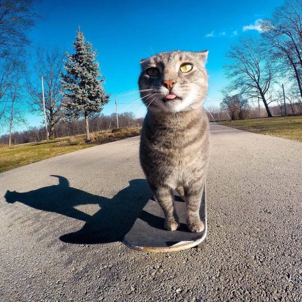 daily picdump 99 pics 31.html - 99 HD Photos | Premium Gallery 2018