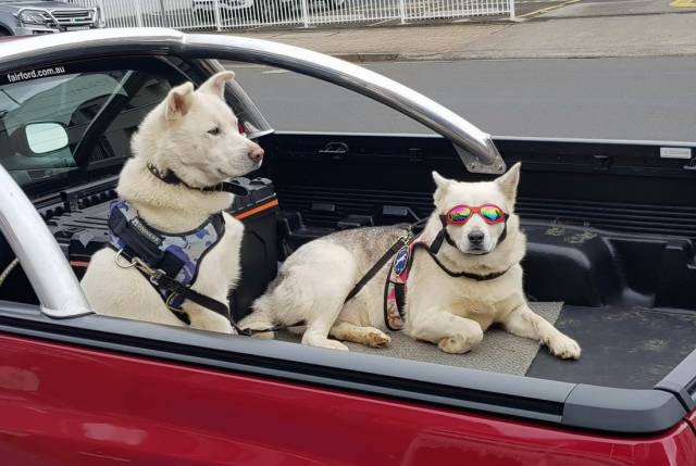 daily picdump 99 pics 31.html - 99 HD Photos | Premium Gallery 2018