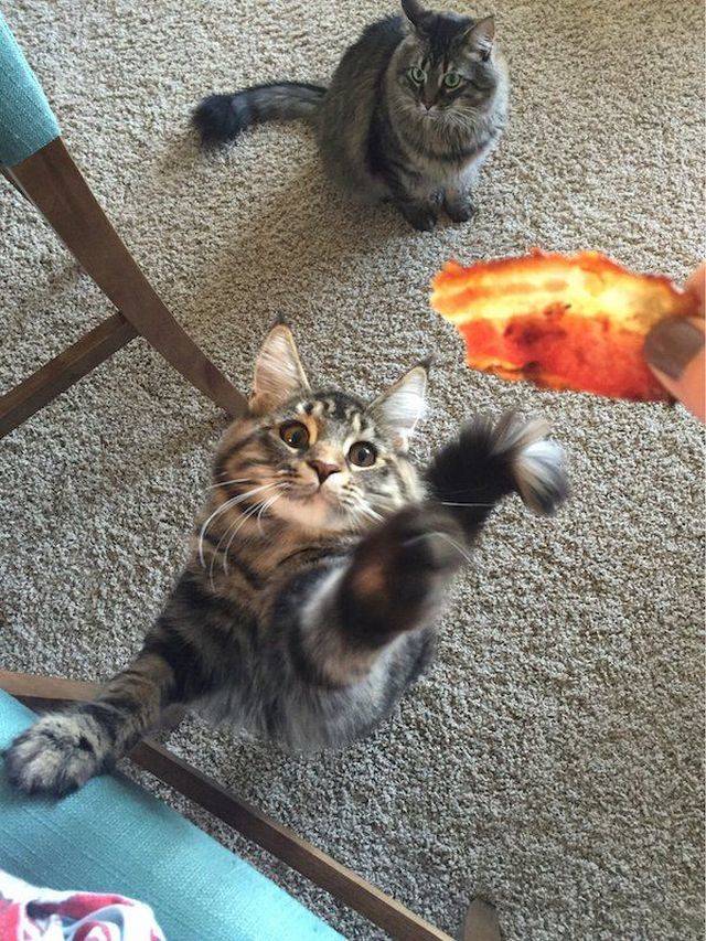 daily picdump 99 pics 31.html - 99 HD Photos | Premium Gallery 2018