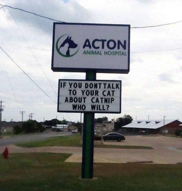 daily picdump 99 pics 31.html - 99 HD Photos | Premium Gallery 2018