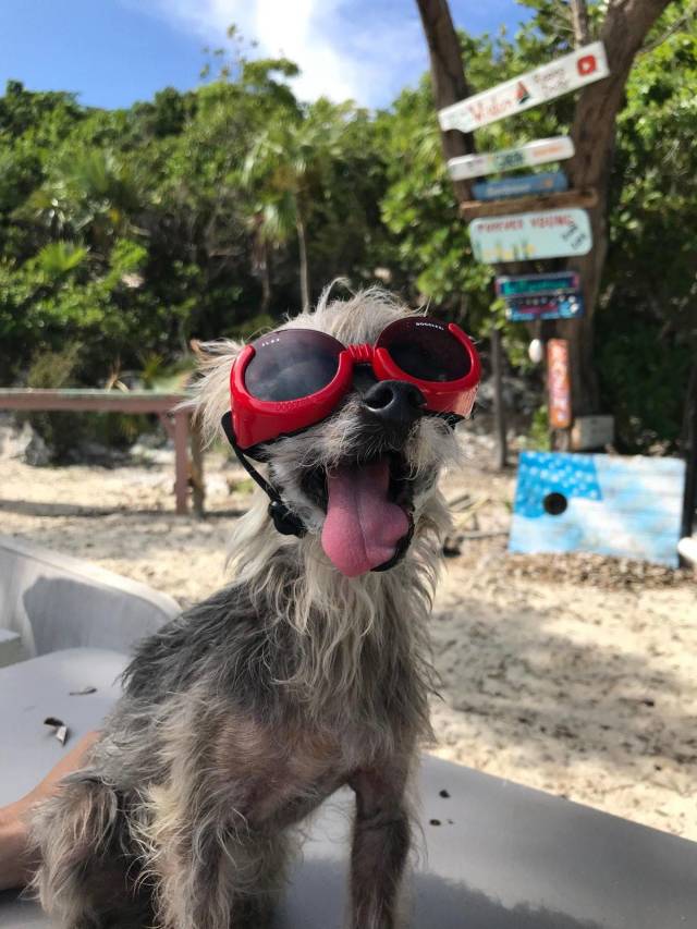 daily picdump 99 pics 31.html - 99 HD Photos | Premium Gallery 2018
