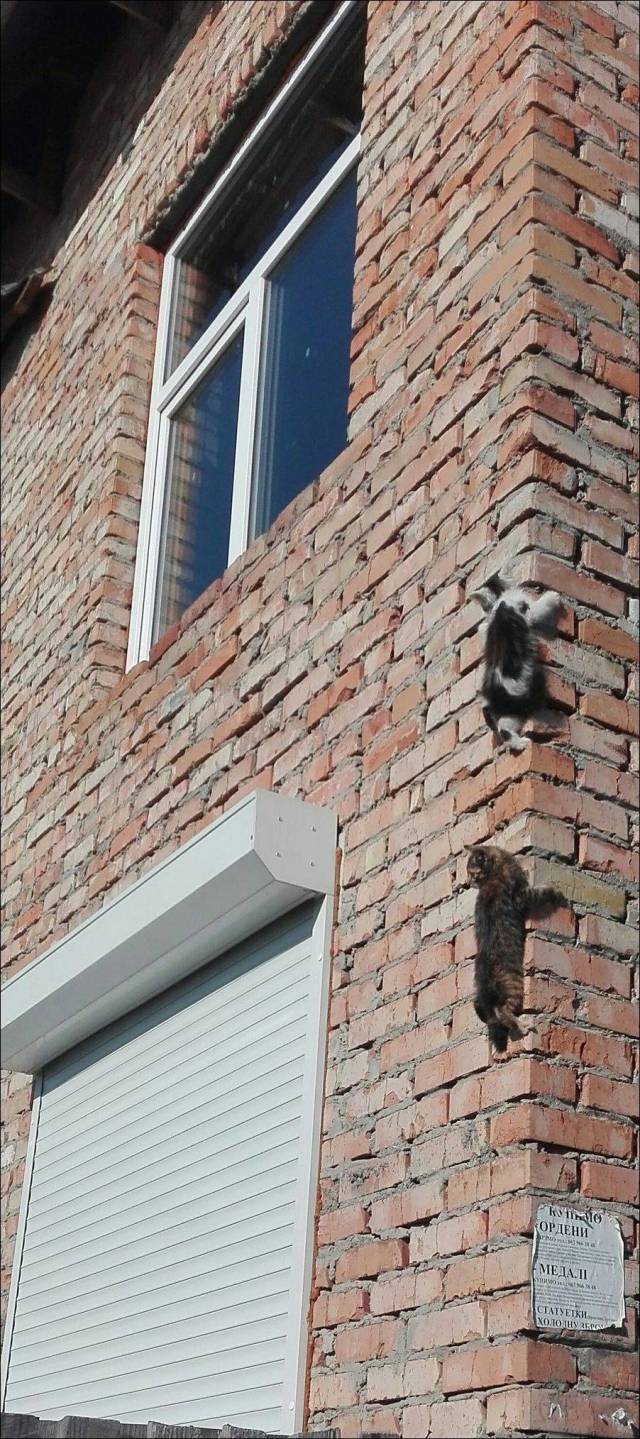 daily picdump 99 pics 31.html - 99 HD Photos | Premium Gallery 2018
