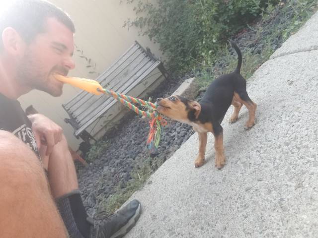 Morning Picdump
