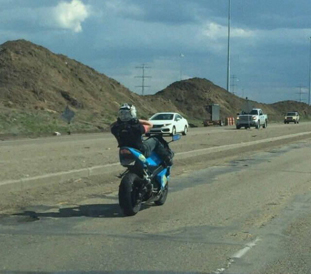 Morning Picdump