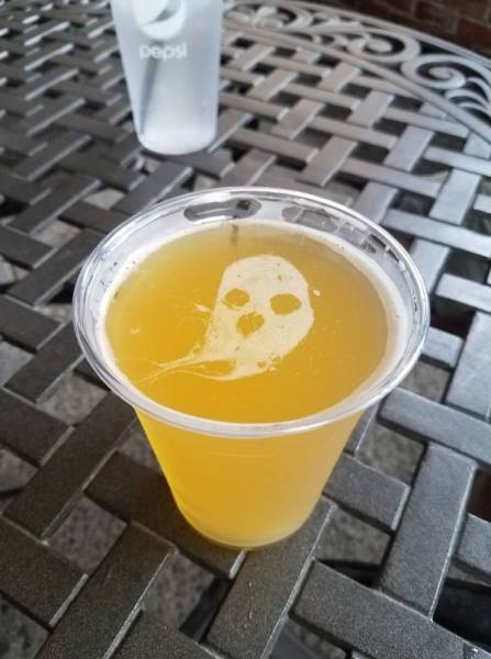 daily picdump weekend edition 51 pics 15.html - 51 HD Photos | Premium Gallery 2018