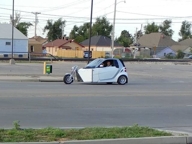 daily picdump weekend edition 51 pics 15.html - 51 HD Photos | Premium Gallery 2018