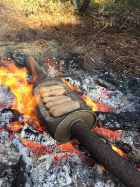 daily picdump weekend edition 51 pics 15.html - 51 HD Photos | Premium Gallery 2018