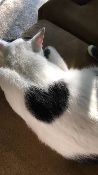 daily picdump weekend edition 51 pics 15.html - 51 HD Photos | Premium Gallery 2018