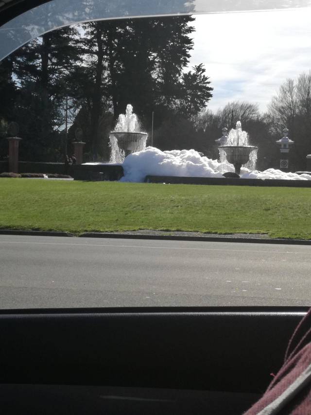 daily picdump weekend edition 51 pics 15.html - 51 HD Photos | Premium Gallery 2018