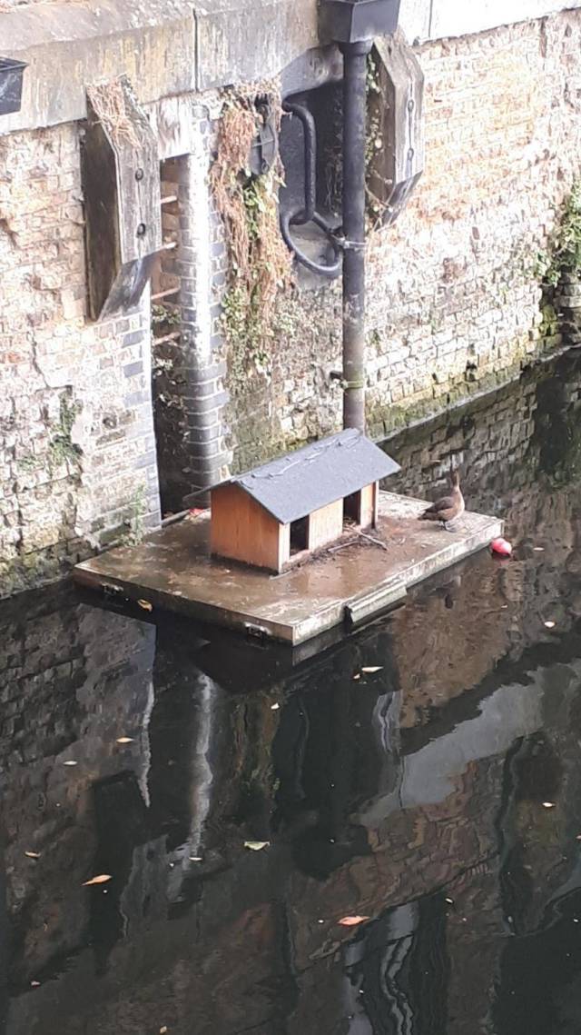 daily picdump weekend edition 51 pics 15.html - 51 HD Photos | Premium Gallery 2018