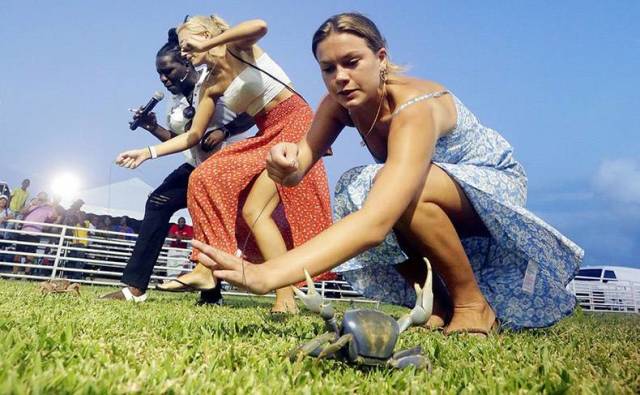 daily picdump 84 pics 41.html - 84 HD Photos | Premium Gallery 2018