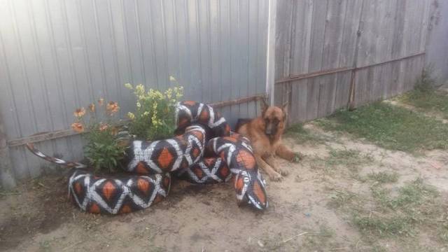 daily picdump 84 pics 41.html - 84 HD Photos | Premium Gallery 2018