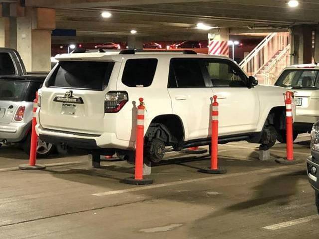 daily picdump 84 pics 41.html - 84 HD Photos | Premium Gallery 2018