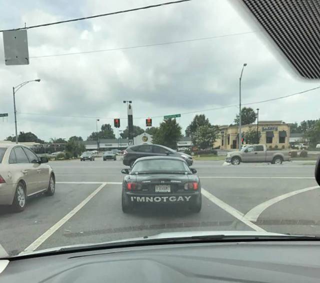 daily picdump 84 pics 41.html - 84 HD Photos | Premium Gallery 2018