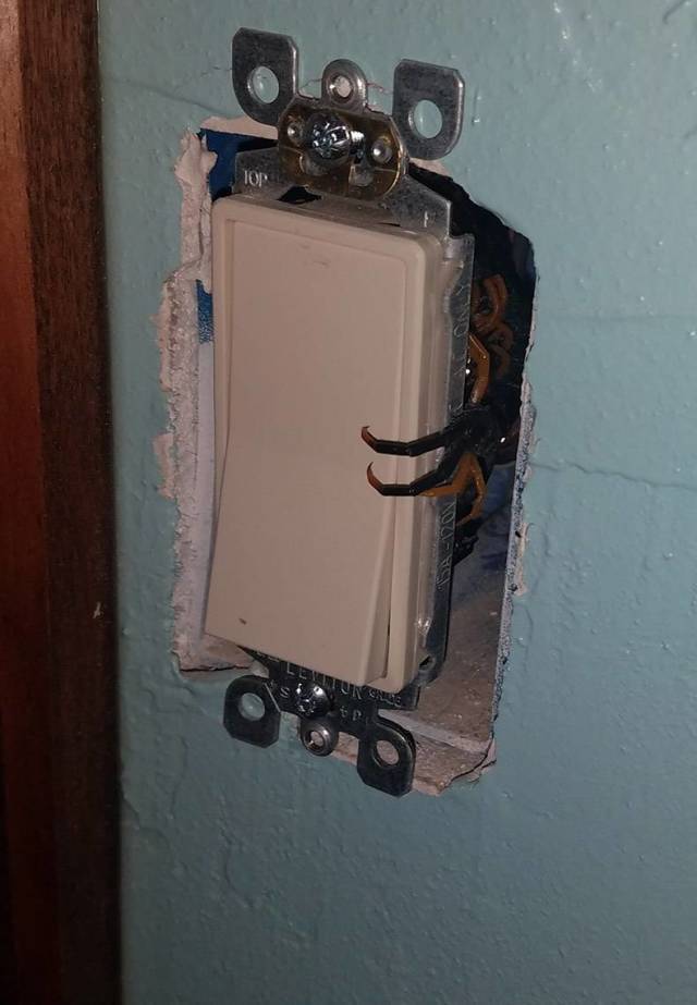 daily picdump 84 pics 41.html - 84 HD Photos | Premium Gallery 2018