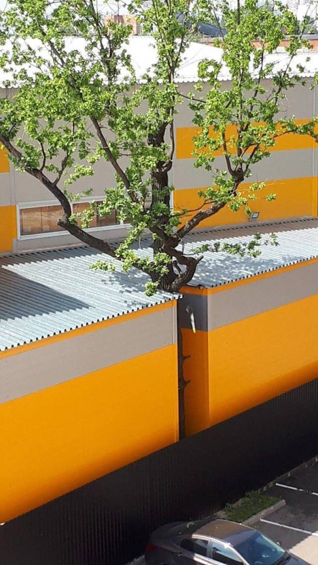 daily picdump 84 pics 41.html - 84 HD Photos | Premium Gallery 2018