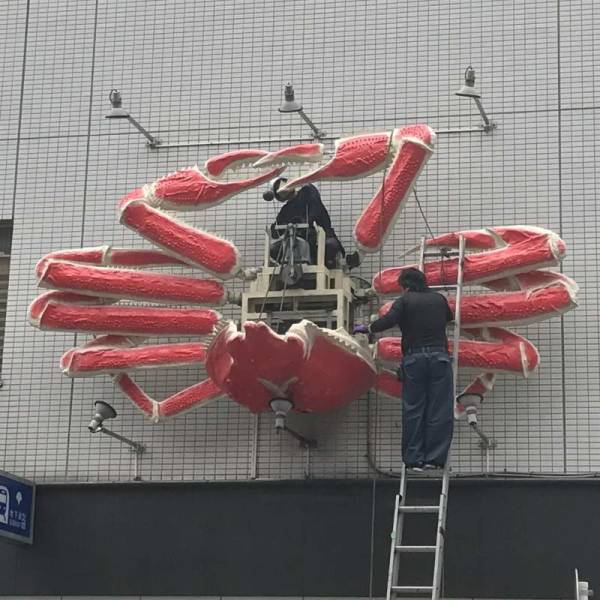 daily picdump 84 pics 41.html - 84 HD Photos | Premium Gallery 2018