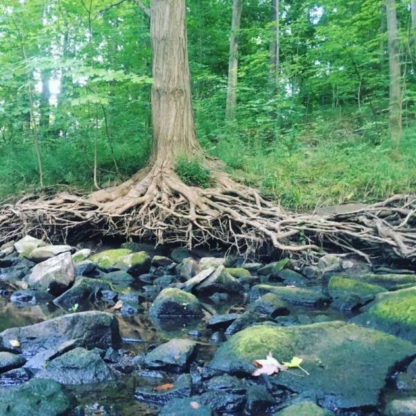 daily picdump 84 pics 41.html - 84 HD Photos | Premium Gallery 2018