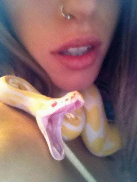 daily picdump 84 pics 41.html - 84 HD Photos | Premium Gallery 2018