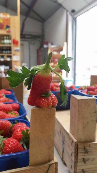 daily picdump 84 pics 41.html - 84 HD Photos | Premium Gallery 2018