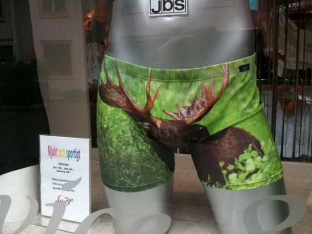 daily picdump 84 pics 41.html - 84 HD Photos | Premium Gallery 2018