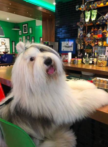 daily picdump 84 pics 41.html - 84 HD Photos | Premium Gallery 2018