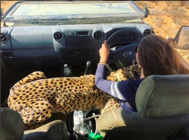 daily picdump 84 pics 41.html - 84 HD Photos | Premium Gallery 2018