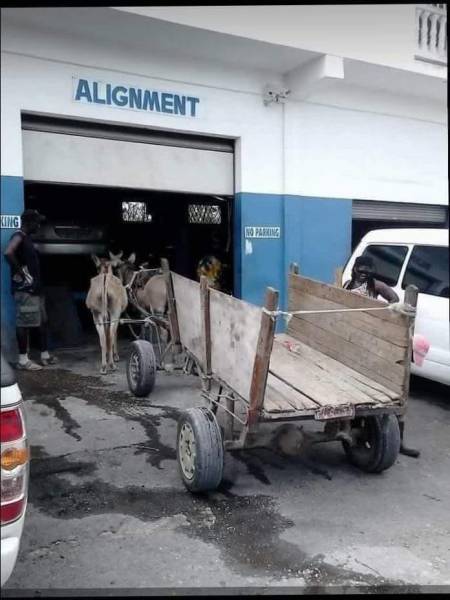 morning picdump 54 pics 10.html - 54 HD Photos | Premium Gallery 2018