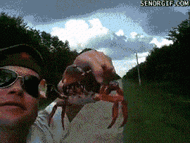 Some Things Should Never Be Done In Bed