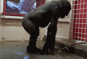 Some Things Should Never Be Done In Bed