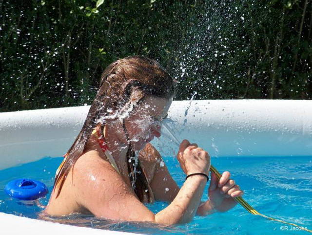 daily picdump 84 pics 6.html - 84 HD Photos | Premium Gallery 2018