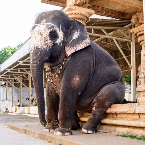 daily picdump 84 pics 6.html - 84 HD Photos | Premium Gallery 2018