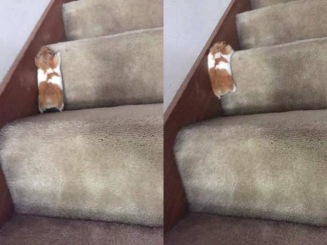 daily picdump 84 pics 6.html - 84 HD Photos | Premium Gallery 2018