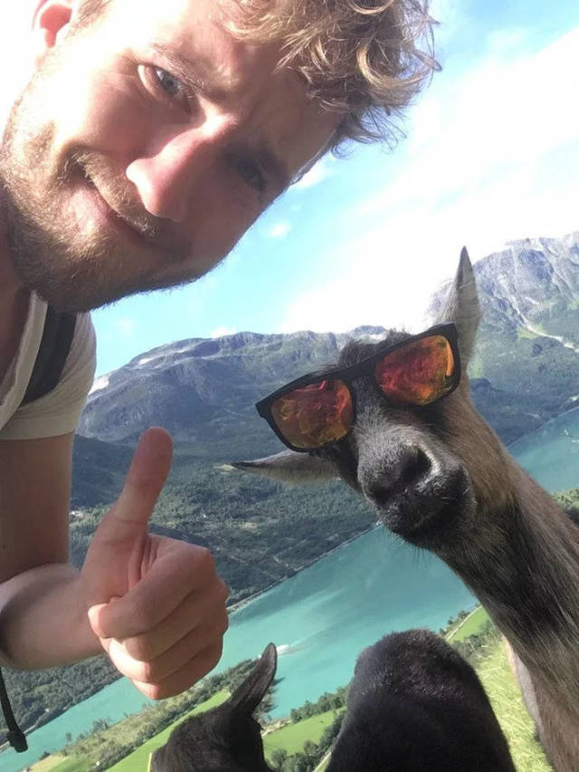 daily picdump 84 pics 6.html - 84 HD Photos | Premium Gallery 2018