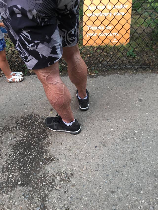 daily picdump 86 pics 32.html - 86 HD Photos | Premium Gallery 2018