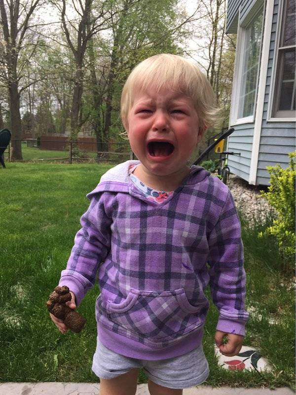 morning picdump 53 pics 43.html - 53 HD Photos | Premium Gallery 2018