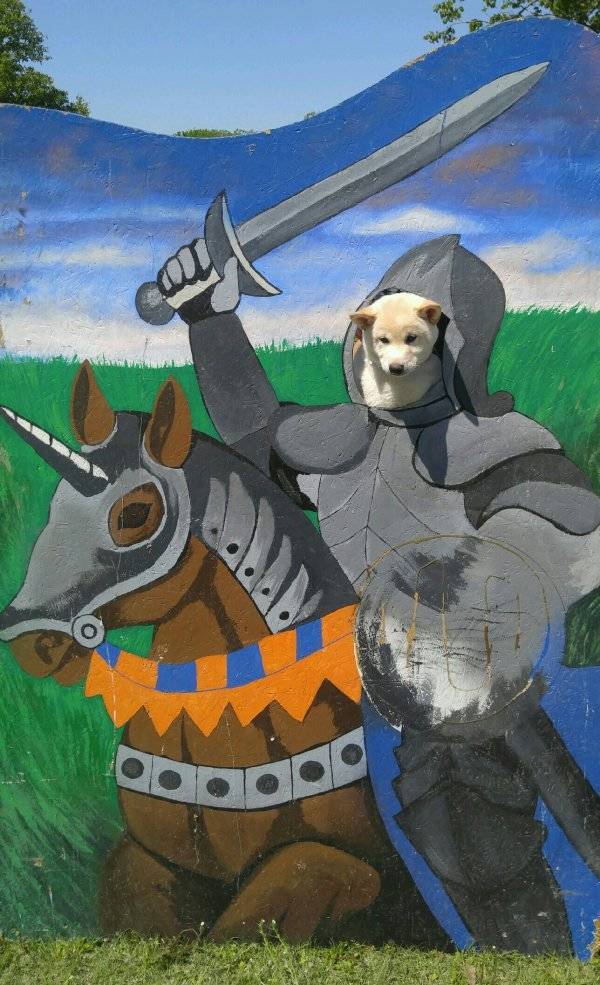 morning picdump 53 pics 2.html - 53 HD Photos | Premium Gallery 2018