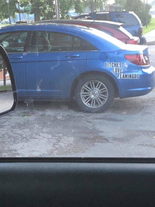 morning picdump 53 pics 2.html - 53 HD Photos | Premium Gallery 2018