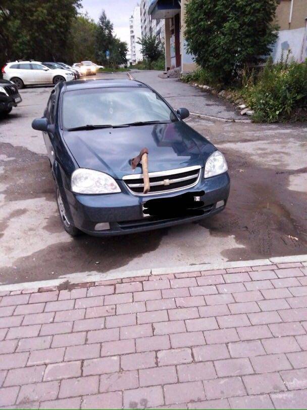 morning picdump 53 pics 2.html - 53 HD Photos | Premium Gallery 2018