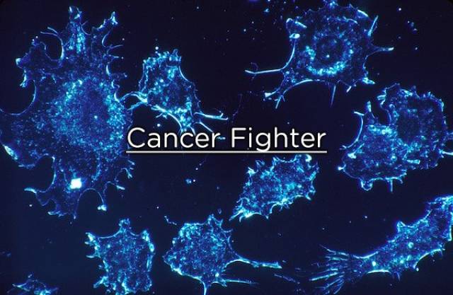 Our Bodies Are No Less Than Impressive!