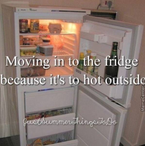 Summer Memes Are Pretty Hot!