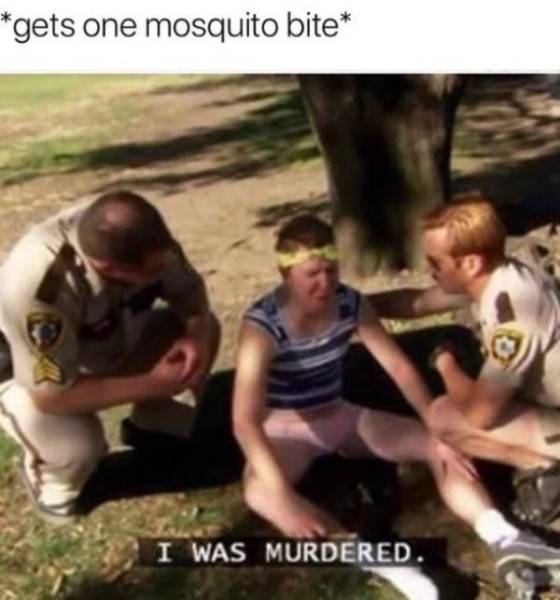 Summer Memes Are Pretty Hot!