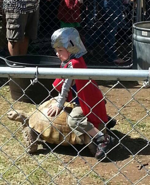 Daily Picdump [WEEKEND EDITION]