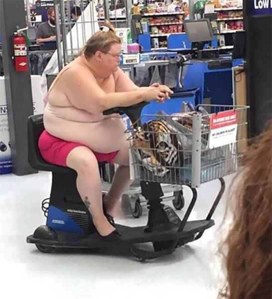 daily picdump weekend edition 55 pics 2.html - 55 HD Photos | Premium Gallery 2018