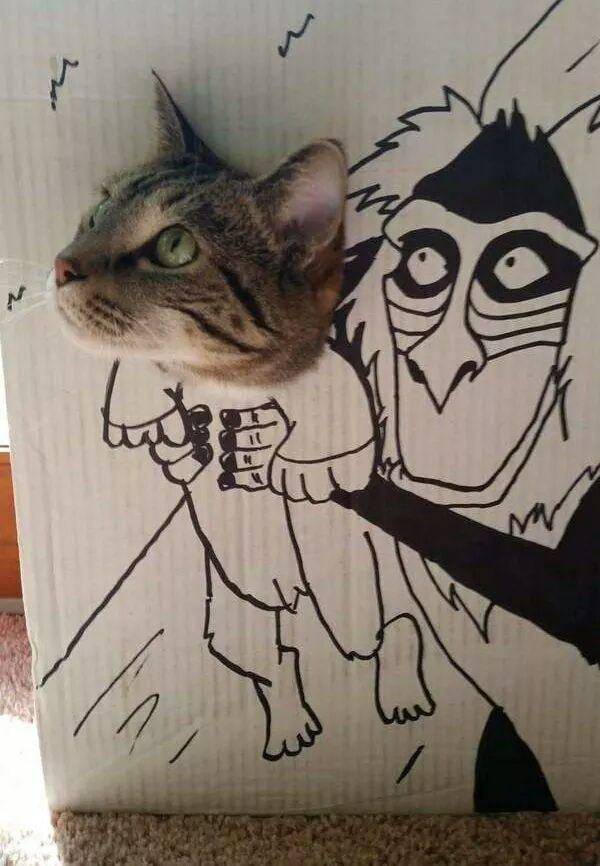 Daily Picdump [WEEKEND EDITION]